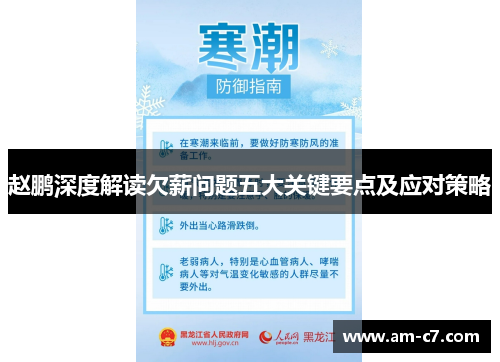 赵鹏深度解读欠薪问题五大关键要点及应对策略 赵鹏深度解读欠薪问题五大关键要点及应对策略