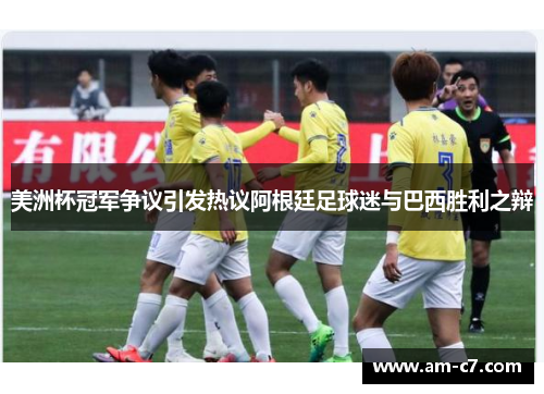 美洲杯冠军争议引发热议阿根廷足球迷与巴西胜利之辩