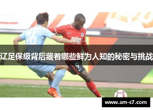 辽足保级背后藏着哪些鲜为人知的秘密与挑战