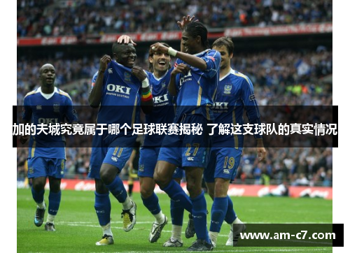 加的夫城究竟属于哪个足球联赛揭秘 了解这支球队的真实情况