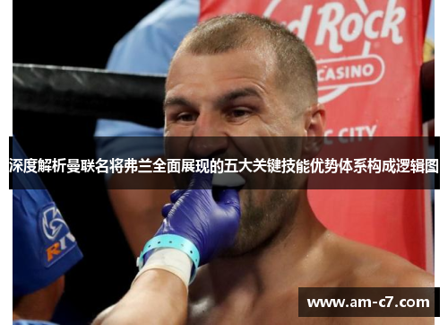 深度解析曼联名将弗兰全面展现的五大关键技能优势体系构成逻辑图