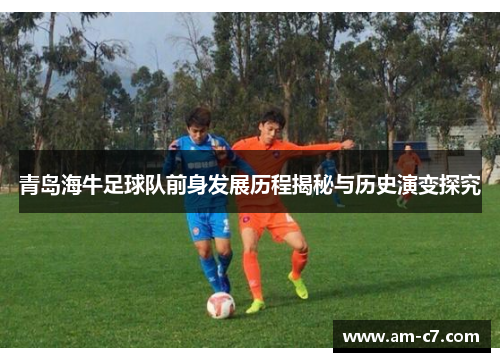 青岛海牛足球队前身发展历程揭秘与历史演变探究
