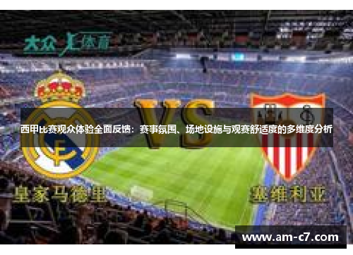 西甲比赛观众体验全面反馈：赛事氛围、场地设施与观赛舒适度的多维度分析