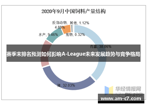 赛季末排名预测如何影响A-League未来发展趋势与竞争格局