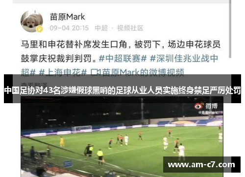 中国足协对43名涉嫌假球黑哨的足球从业人员实施终身禁足严厉处罚