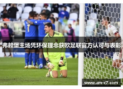 弗赖堡主场凭环保理念获欧足联官方认可与表彰 弗赖堡主场凭环保理念获欧足联官方认可与表彰