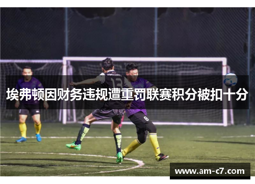 埃弗顿因财务违规遭重罚联赛积分被扣十分