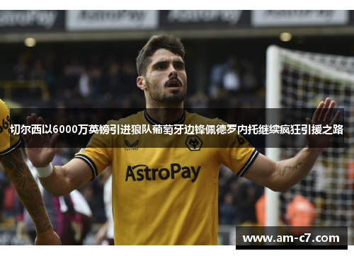 切尔西以6000万英镑引进狼队葡萄牙边锋佩德罗内托继续疯狂引援之路
