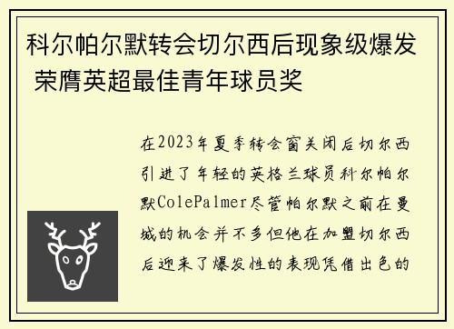 科尔帕尔默转会切尔西后现象级爆发 荣膺英超最佳青年球员奖
