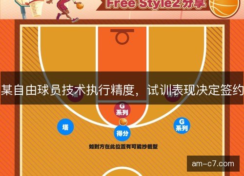 某自由球员技术执行精度，试训表现决定签约
